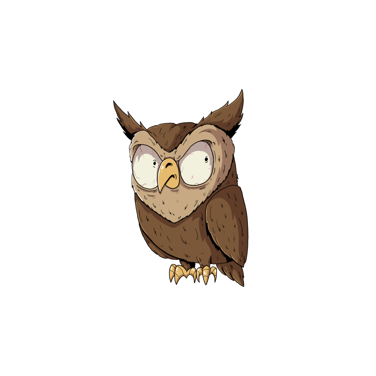 Owl Square Sticker